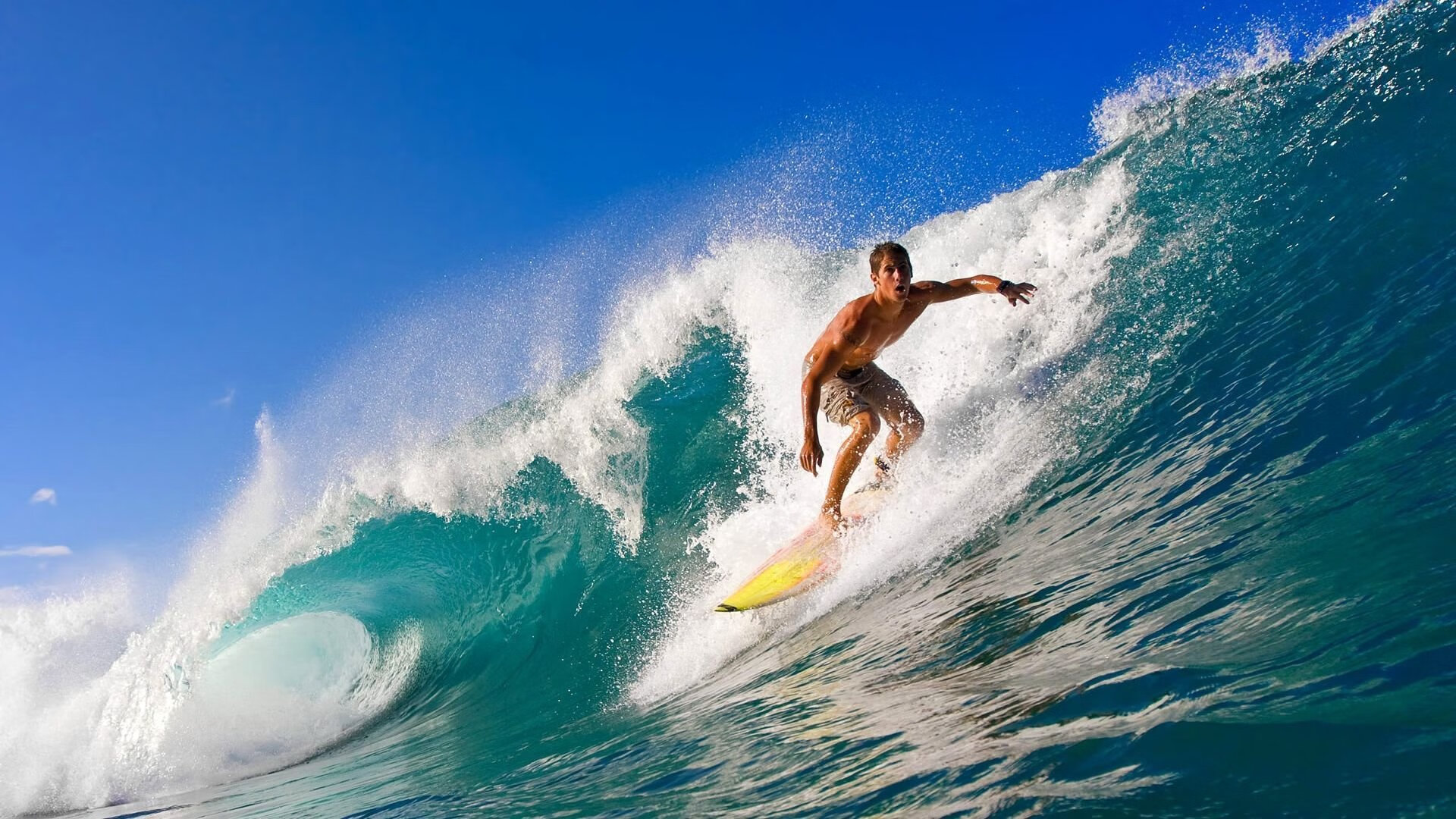 “浅水区踢水数拍比赛” 训练下肢耐力和韧性